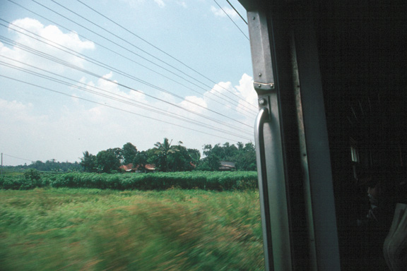 Javanese landscape